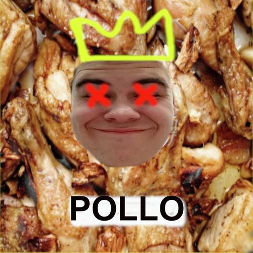 POLLO