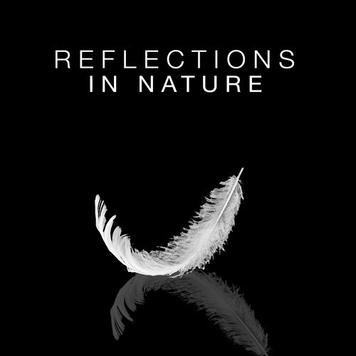 Reflections in Nature_poster_image