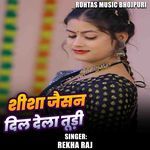 Shisha Jaisan Dil Dela Tudi