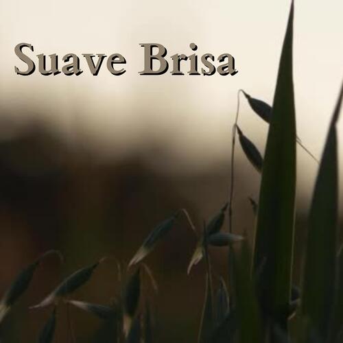 Suave Brisa