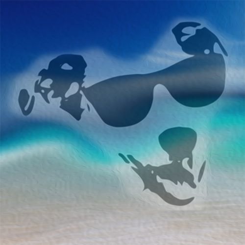 Mow cover art