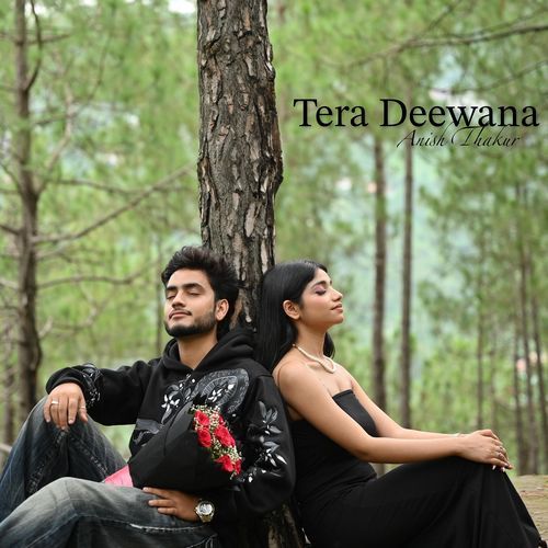 Tera Deewana