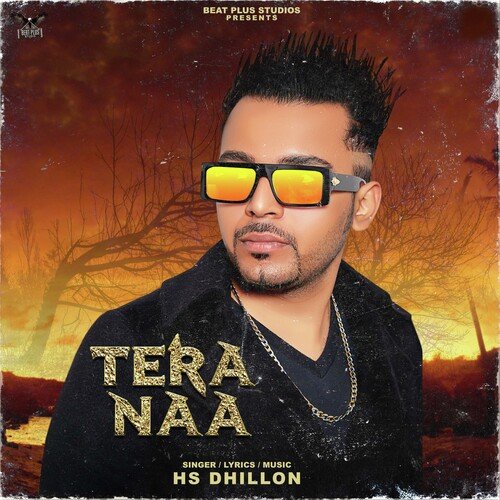 Tera Naa