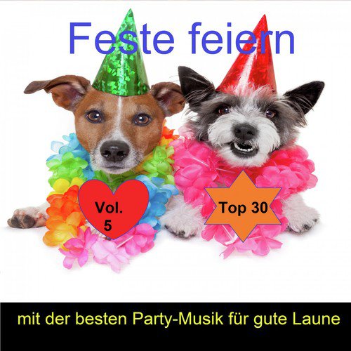 Top 30: Feste feiern mit der besten Party-Musik für gute Laune, Vol. 5