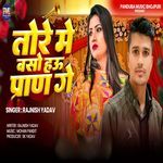 Tore Mein Baso Hau Paran Ge