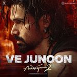 Ve Junoon (From "Awarapan 2")_poster_image