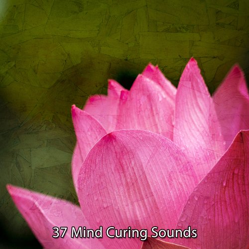 37 Mind Curing Sounds_poster_image