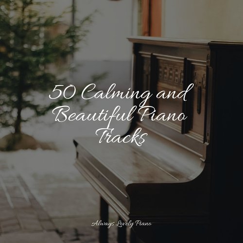 50 Calming and Beautiful Piano Tracks