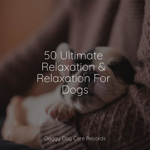 50 Ultimate Relaxation & Relaxation For Dogs