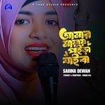 Amar Mayai Poira Jaiba