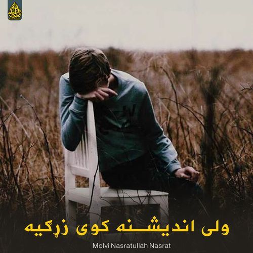 ولی اندیشنه کوی زړګیه