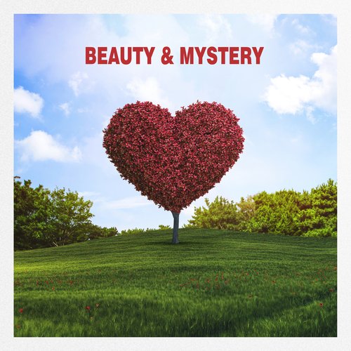 Beauty &amp; Mystery_poster_image