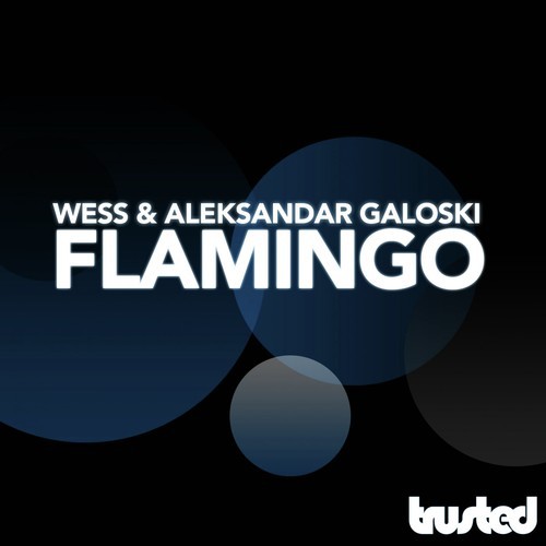 Flamingo cover art