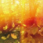 Green to Gold (Brent Arnold Remix)