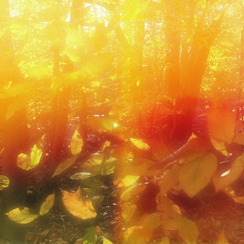 Green to Gold (Brent Arnold Remix)
