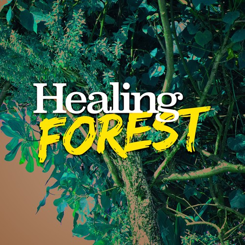 A Riverbed Song - Download Healing Forest Song Online Only on JioSaavn