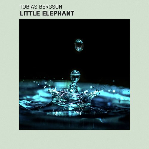 Little Elephant