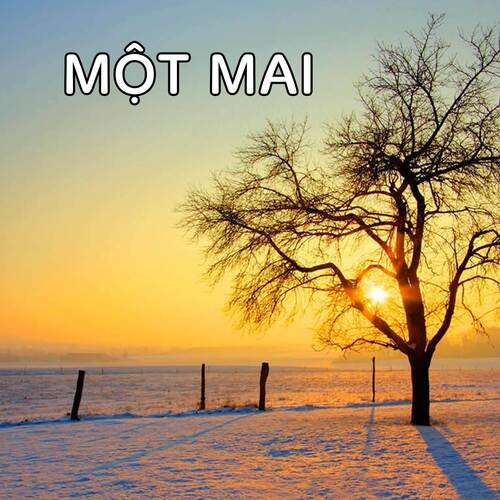 Một Mai