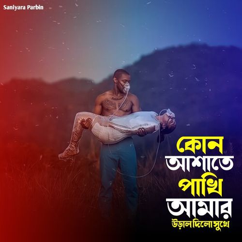 কোন আশাতে পাখি আমার উড়াল দিলো সুখে