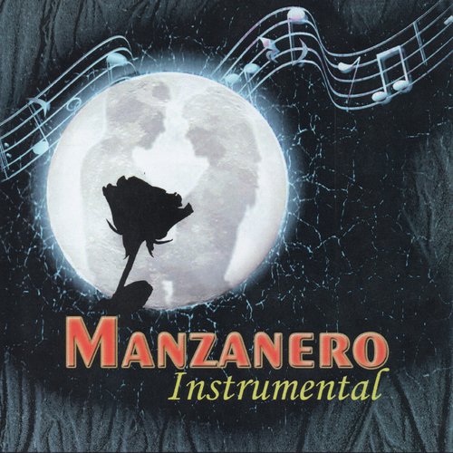 Manzanero Instrumental_poster_image