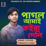 Pagol Amai Koira Geli