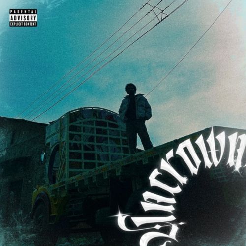 Professional cover art