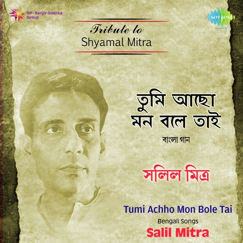 Salil Mitra - Tumi Achho Mon Bale Tai