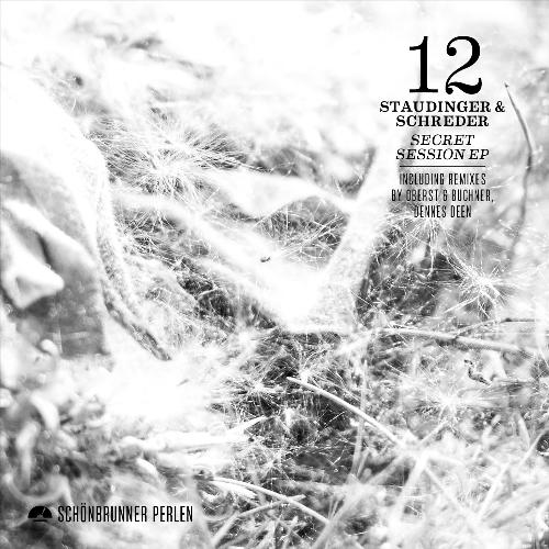 The Crazy Guy Is Talking (Dennes Deen Remix) cover art