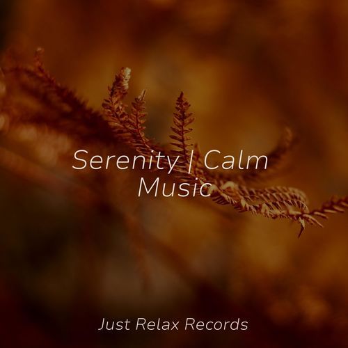 Serenity | Calm Music_poster_image