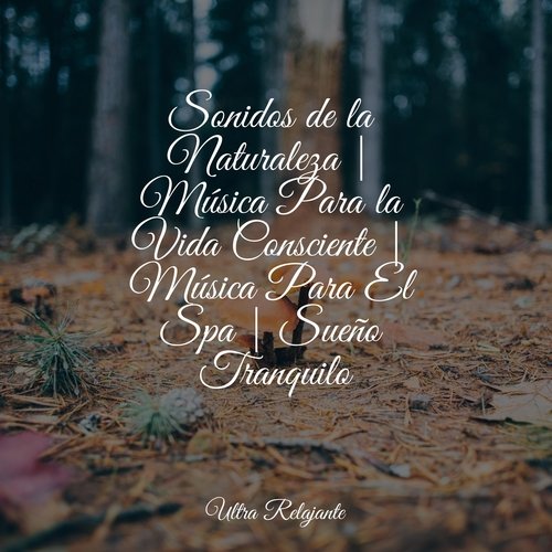 Música Relajante Para El Sueño Profundo - Música Tranquila Para Dormir -  Song Download from Dormir: Música relajante para el sueño profundo y música  para la relajación @ JioSaavn