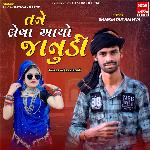 Tane Leva Aayo Janudi