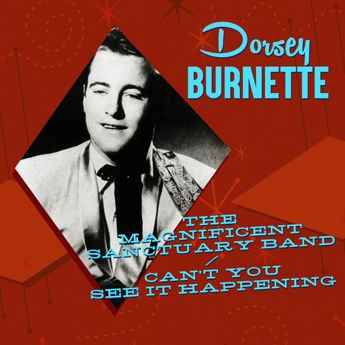 The Magnificent Sanctuary Band / Can't You See It Happening