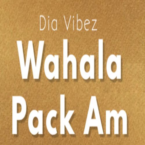 Wahala Pack Am_poster_image