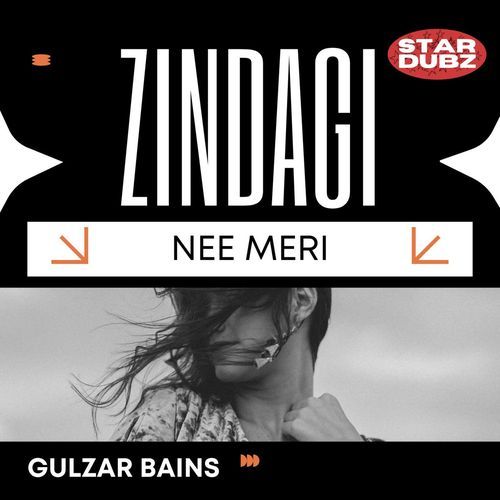 Zindagi Nee Meri