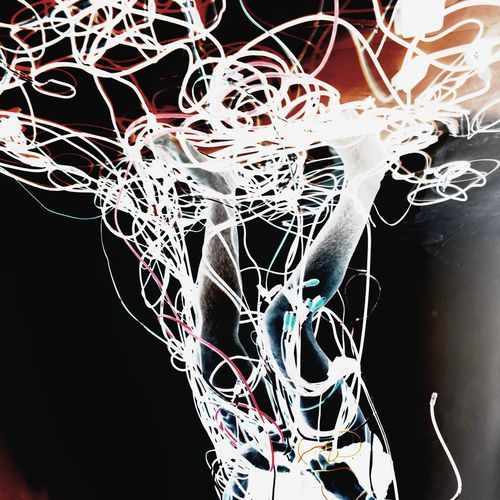 damián cover art