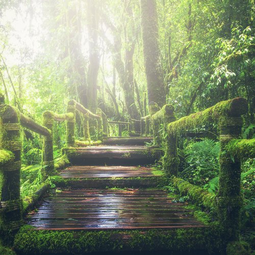 50 Calm Sleep Sounds