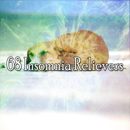 68 Insomnia Relievers