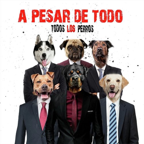 Matute cover art