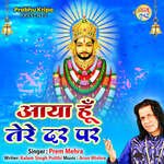 Aaya Hu Tere Dar Par artwork
