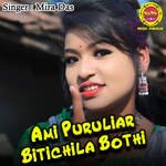 Ami Puruliar Bitichila Bothi