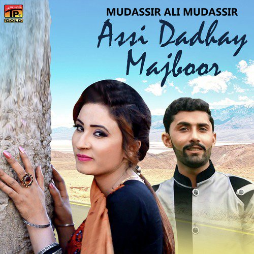 Assi Dadhay Majboor - Single