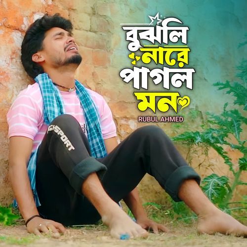 Bujhli Na Re Pagol Mon