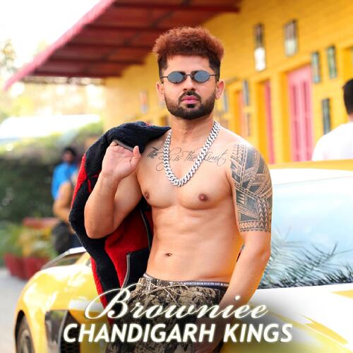 Chandigarh Kings