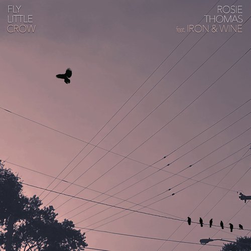 Fly Little Crow_poster_image