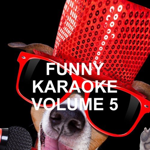 Funny Karaoke, Vol. 5