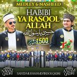 Habibi Ya Rasool Allah