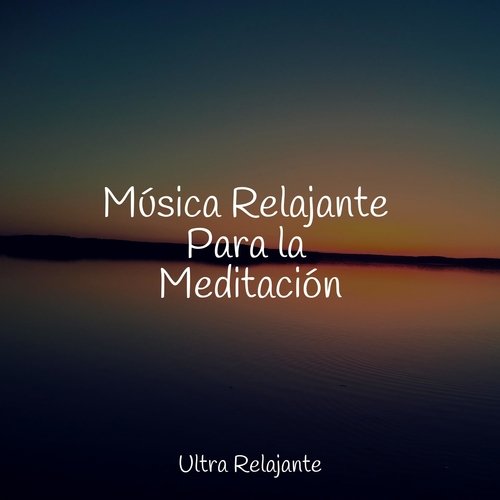 Música Relajante Para la Meditación