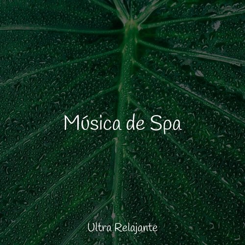 Música de Spa