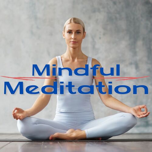 Mental Mastery cover art