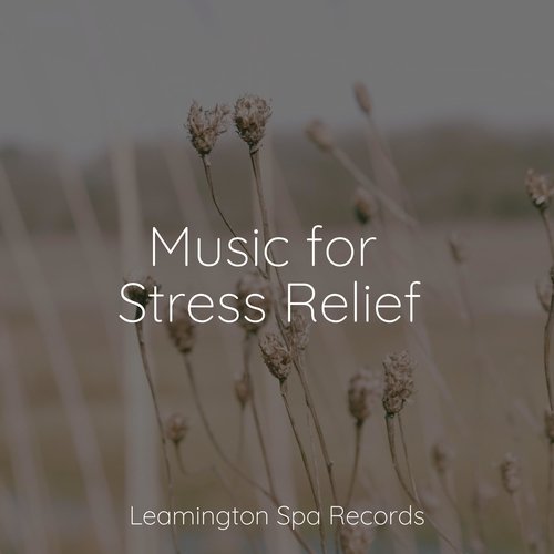 Sleep Music cover art